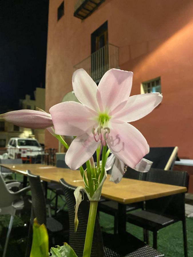 Restaurant & Rooms Cabrit Sant Mateu Luaran gambar